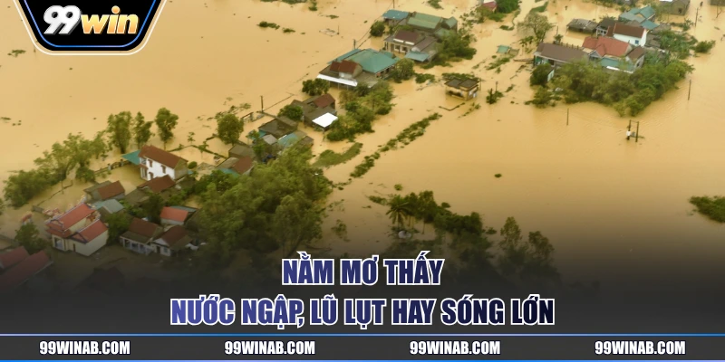 Nằm mơ thấy nước ngập, lũ lụt hay sóng lớn